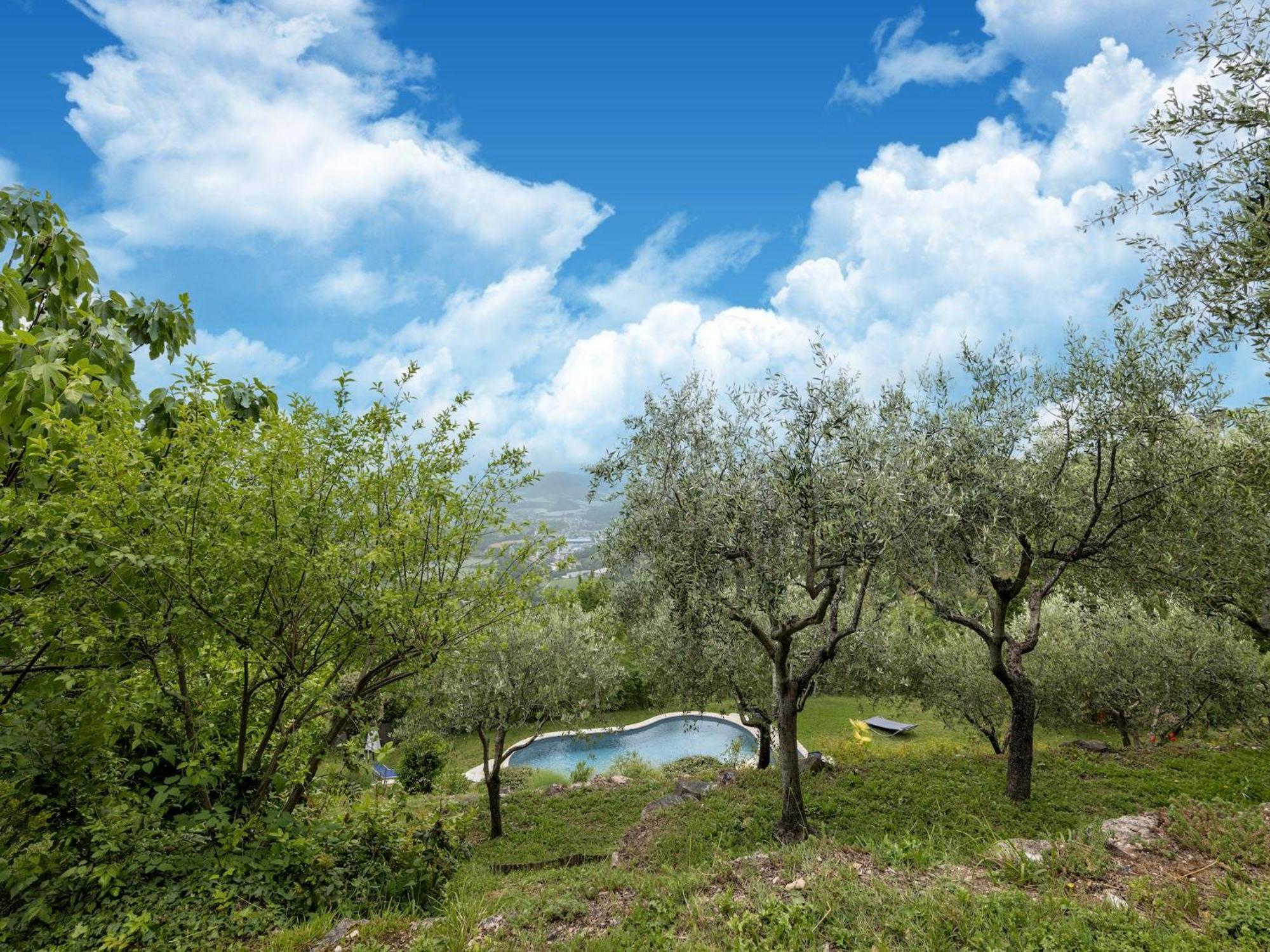 Graceful In With Swimming Pool * Acqualagna
